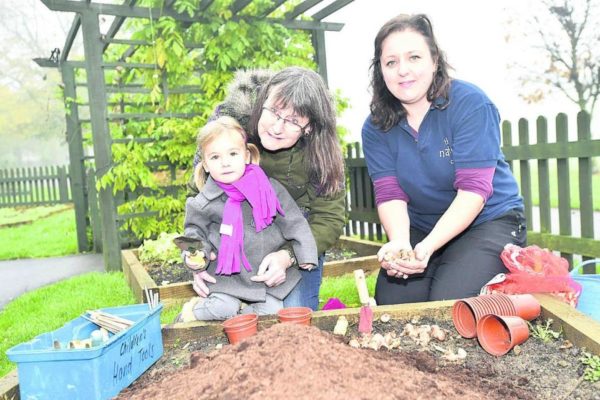 planting.jpg.article-962 planting.jpg.article-962